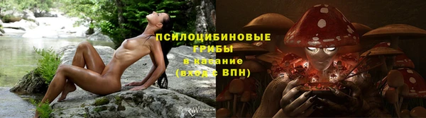 не бодяженный Арсеньев