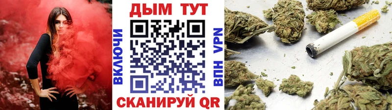 Купить где  Сусуман  Конопля SATIVA & INDICA 