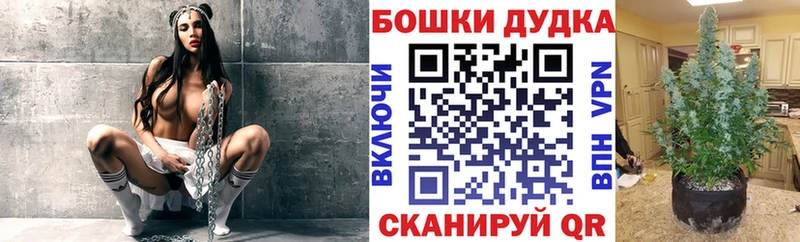 Канабис ГИДРОПОН Сусуман